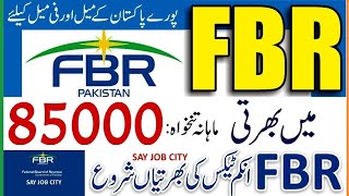 FBR Jobs 2024  FBR Career 2024FBR Vacancies 2024Federal Board of Revenue Jobs 2024FBR Jobs Apply [upl. by Ulrick580]