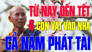 Từ Nay Đến Tết 6 Con Vật Này Vào Nhà ĐẢM BẢO Gia Chủ PHÁT TÀI GIÀU CÓ LỘC ĐẦY [upl. by Crawford702]