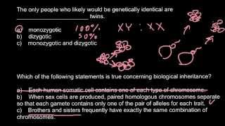 Monozygotic vs dizygotic twins [upl. by Kipp]