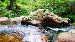 Braunlage an der warmen Bode im Harz [upl. by Pember]