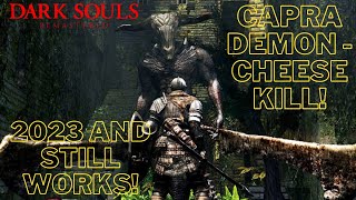 Dark Souls Remastered  Cheese the Capra Demon [upl. by Tonnie82]