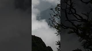 Kodaikanal Princess of Hills  Moir Point song shorts trending nature love travel hills new [upl. by Nisen]