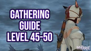 FFXIV 20 0105 Gathering Guide Level 45 to 50 [upl. by Pegma458]