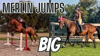 THE HIGHEST WEVE EVER JUMPED 🐎 Riding my friends OTTB and a chat about horselife balance [upl. by Lord]