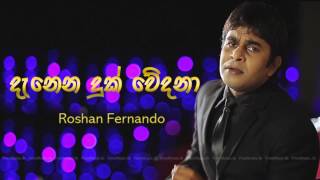 Danena Duk Wedana  Roshan Fernando Audio wwwFreeMusiclk [upl. by Gallagher58]