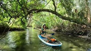 Juniper Springs Paddle Adventure [upl. by Ribble]