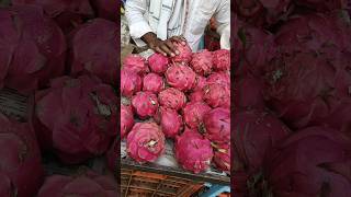 How to Grow dragon Fruits 2 🌿😍🌱 indianfarmer gardening indiangardeners phoolpatte vegegarden [upl. by Rex]