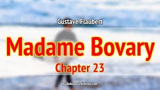 Madame Bovary Audiobook Chapter 23 with subtitles [upl. by Gorton472]