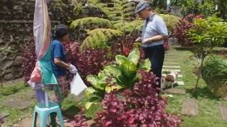 TUTORIAL CARI SUMBER MATA AIR TEKNIK DOWSING [upl. by Sillad439]