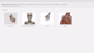 Creating a presentation with Tours  Human Anatomy Atlas 2018 [upl. by Crispa136]