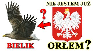 Jaki PTAK widnieje w Godle Polski i dlaczego nie jest już orłem [upl. by Ynoble]