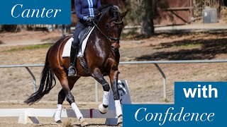 Canter with Confidence with These 4 Tips [upl. by Allicserp]