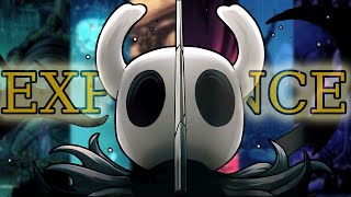 Hollow Knight is STILL an Experience [upl. by Annad]