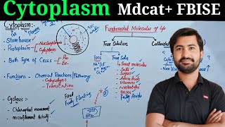 Understanding Cytoplasm Composition and Functions  Class 11 Biology  MDCAT Preparation [upl. by Santiago804]