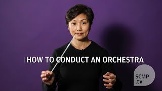 How do you conduct an orchestra [upl. by Ellertal]