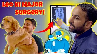 Leo ki surgery ke liye Delhi pahunch gaye🚗 🤗 THEHIMALAYANHUSKY [upl. by Aidam957]