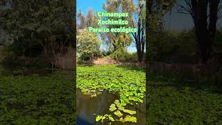 Paraíso ecológico Xochimilco kabbalah amor  México 🇲🇽 [upl. by Airamanna]