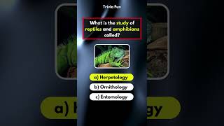 General Knowledge Quiz Part 37 gkquiz quiz trivia [upl. by Iadrahs]