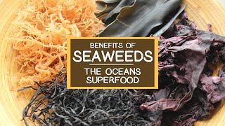 The Nutritional Benefits of Seaweed The Oceans Superfood [upl. by Yehudit]