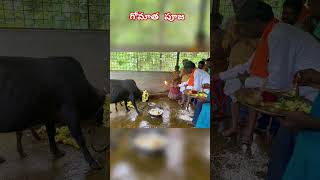 రేపే గోపాస్టమి సకల ఐశ్వర్యాలు ప్రసాదించే గోమాత పూజ విధానం  Gopashtami Pooja Vidhanam  Gopashtami [upl. by Aevin176]