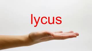 How to Pronounce lycus  American English [upl. by Htrahddis]