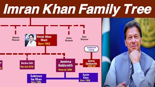 Family Tree of Imran Khan  History About Imran Khan  Waseem Pro Level [upl. by Borries]