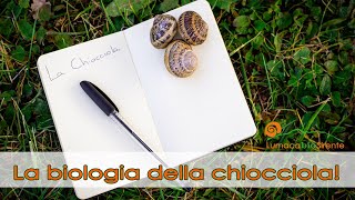 La biologia della chiocciola [upl. by Nylatsyrk]