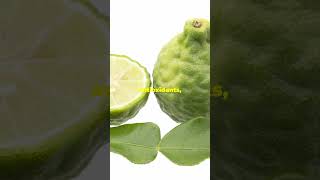 Top 10  Bergamot’s  Facts you don’t know😳 amazingfacts top10facts shorts viralshorts shorts [upl. by Frieder]