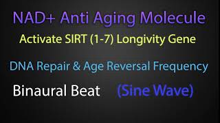 NAD Molecule Increase Sound Frequency for Anti Aging amp DNA repair [upl. by Batholomew114]