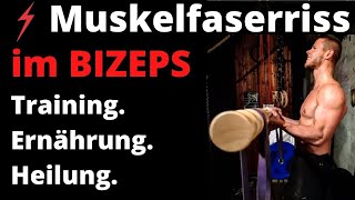 Muskelfaserriss im Bizeps  Training amp Ernährung für schnellere Heilung [upl. by Felecia737]