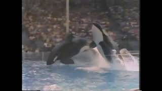 Marineland Commercial 1980 EN [upl. by Jessi220]