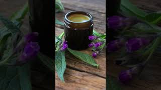 The Benefits of Comfrey  Growing Comfrey In Your Garden [upl. by Atsyrhc124]