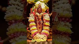 🙏Murugan WhatsApp status Tamil Murugan song 🙏 [upl. by Yrral]