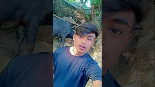 Bundeli Pravesh rai short video reels status raitrending shortmusic [upl. by Pisarik]