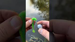 Soft Bait Rigging Technique with Round Jig HeadFishingTips SoftBait JigHead FishingGear [upl. by Mecke]