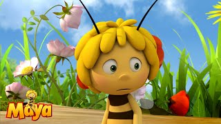 Youre a great dancer  Maya the Bee🐝🍯🐝 [upl. by Aicilyt363]