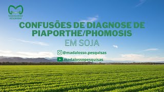 Confusões de diagnose de DiaporthePhomosis em soja [upl. by Pontius]