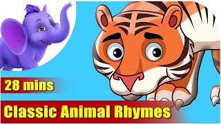 Animal Rhymes [upl. by Ahsiei]