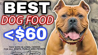 Best Dog Food Brands 2025  American Bully XL [upl. by Neetsuj]