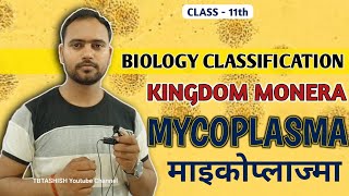 Mycoplasma Class 11  माइकोप्लाज्मा  PPLO  What is Mycoplasma  BIOLOGICAL CLASSIFICATION [upl. by Nicol]