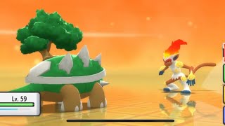 Torterra VS Infernape  Who has the Type Advantage [upl. by Annoj]