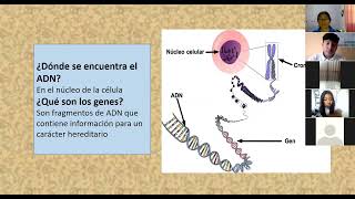 ÁCIDOS NUCLEICOS [upl. by Airda]