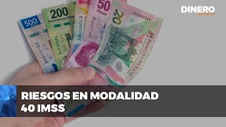 Modalidad 40 del IMSS  Dinero en Imagen [upl. by Engeddi]