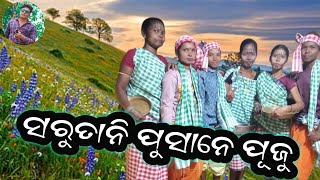 Sarutani pusane pujuNew Sambalpur Kui SongKandhamal Dance Video [upl. by Amis711]