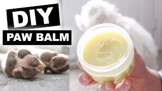 Easiest DIY Dog Paw Balm Wax Tutorial  Jenelle Nicole [upl. by Younger]