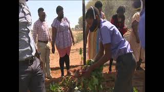 Gobabis Primary Schools vegetable garden beneficial to community NBC [upl. by Ialda491]