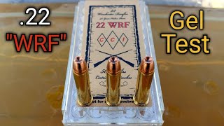 22 WRF Ballistic Gel Test amp Review  22 Winchester Rimfire [upl. by Manoop808]