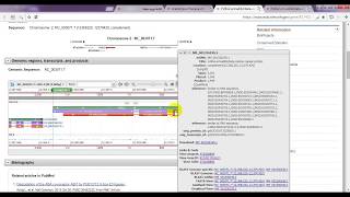 how to find exons and introns in a gene NCBI ucsc genome browser [upl. by Addam]