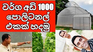 How to build a 1000 Square feet Polytunnel Greenhouse in Sri Lanka [upl. by Kory]