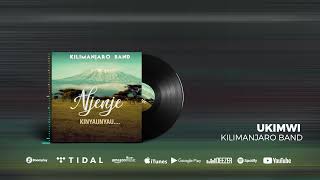 Kilimanjaro Band  Ukimwi Official Audio [upl. by Enohs566]